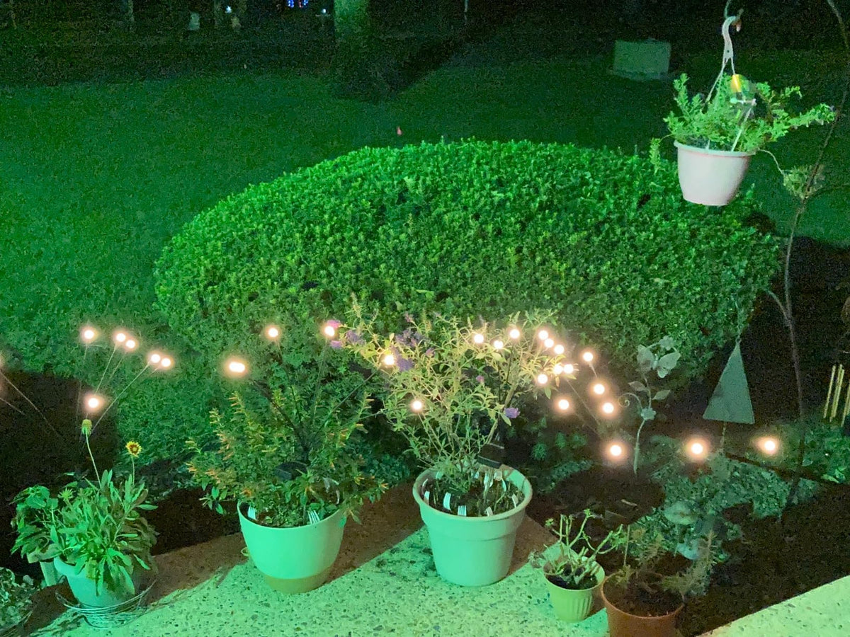Jardín iluminado con Shine Garden